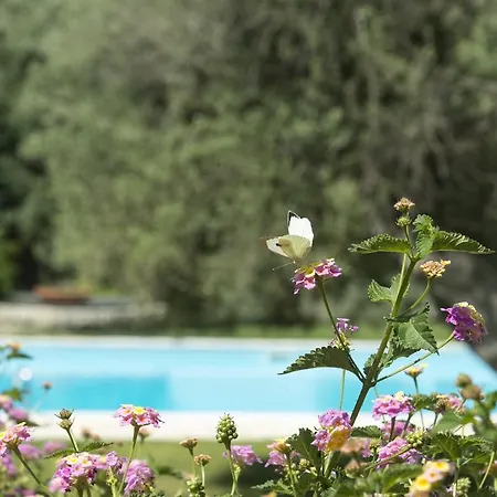 Borgo Degli Ulivi * Canicattini Bagni